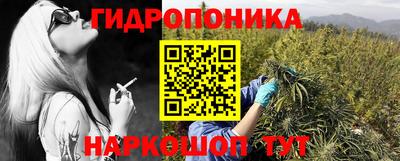 Альфа ПВП Будённовск
